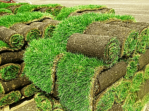 Turf laying services