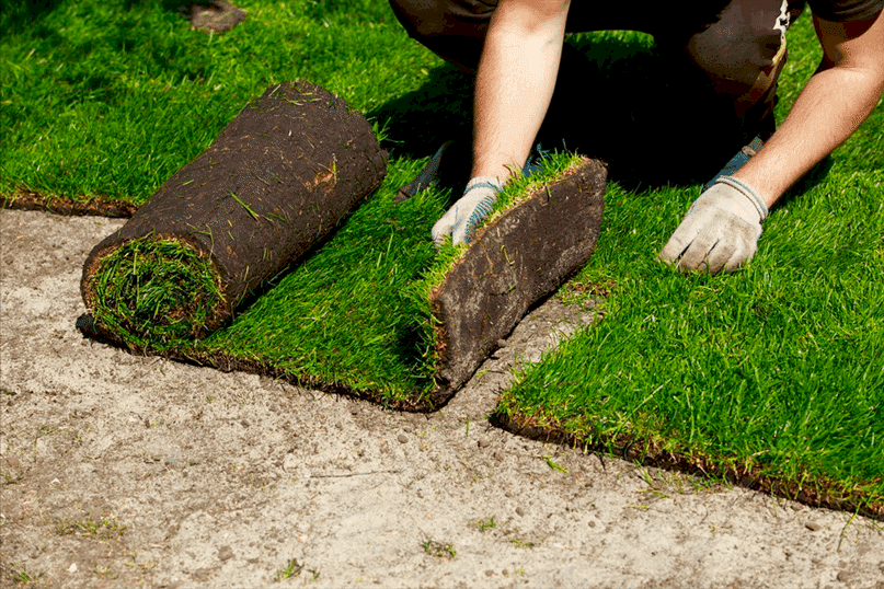 Turf Installation 