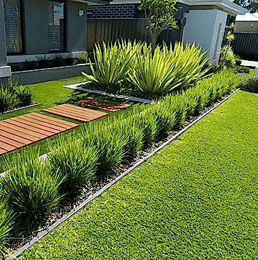 Turf Lawn